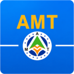 پلاتین 53 پیکان AMT